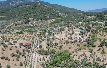 Buca Doğancılar'da Müstakil Villalı Zeytinlik