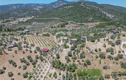 Buca Doğancılar'da Müstakil Villalı Zeytinlik
