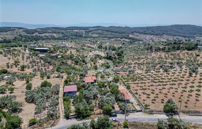 Buca Doğancılar'da Müstakil Villalı Zeytinlik