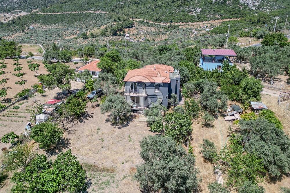 Buca Doğancılar'da Müstakil Villalı Zeytinlik