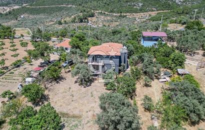 Buca Doğancılar'da Müstakil Villalı Zeytinlik