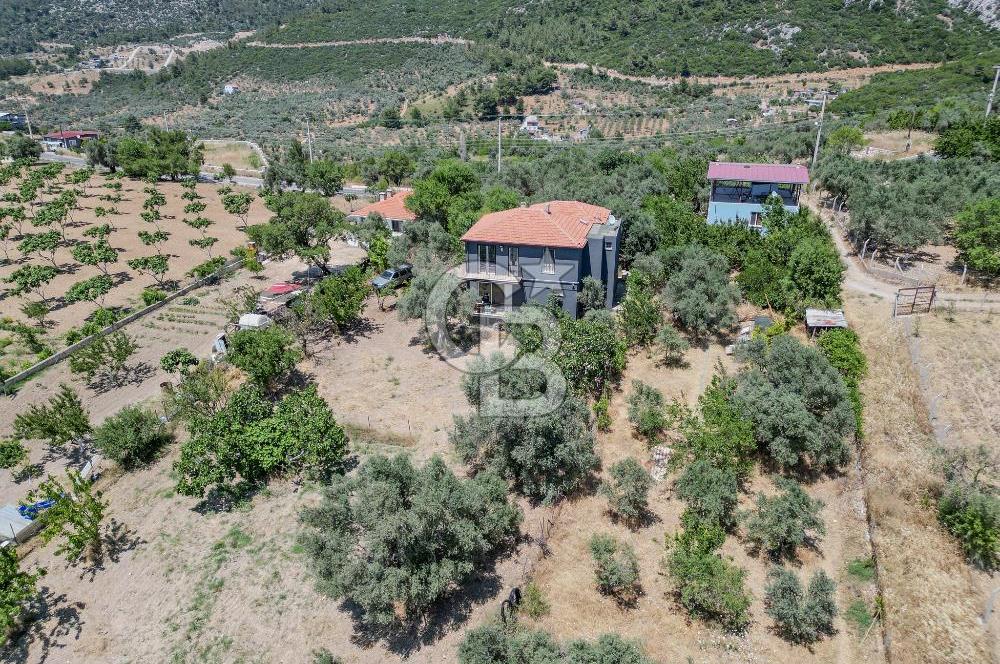 Buca Doğancılar'da Müstakil Villalı Zeytinlik