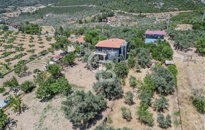Buca Doğancılar'da Müstakil Villalı Zeytinlik