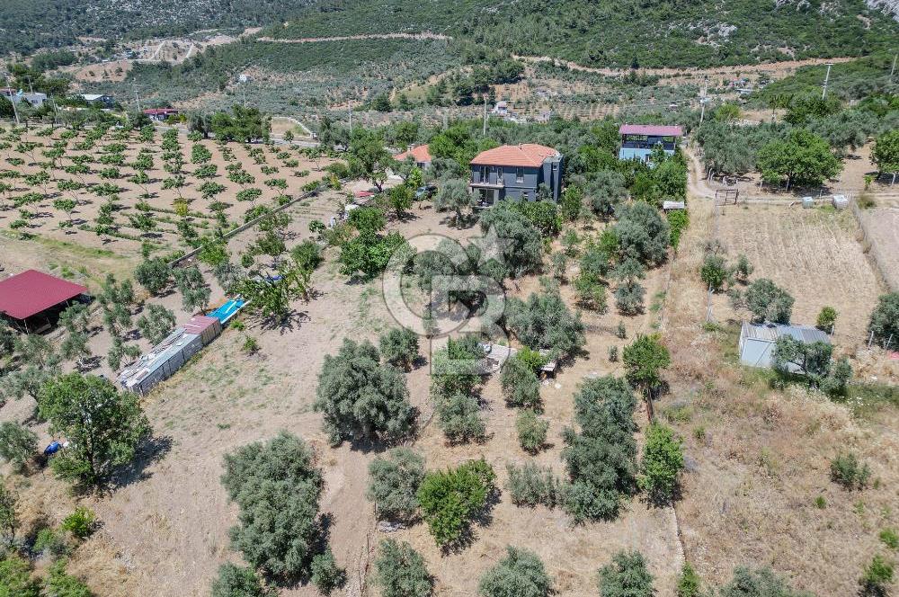 Buca Doğancılar'da Müstakil Villalı Zeytinlik
