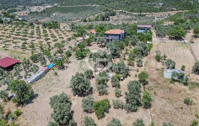 Buca Doğancılar'da Müstakil Villalı Zeytinlik