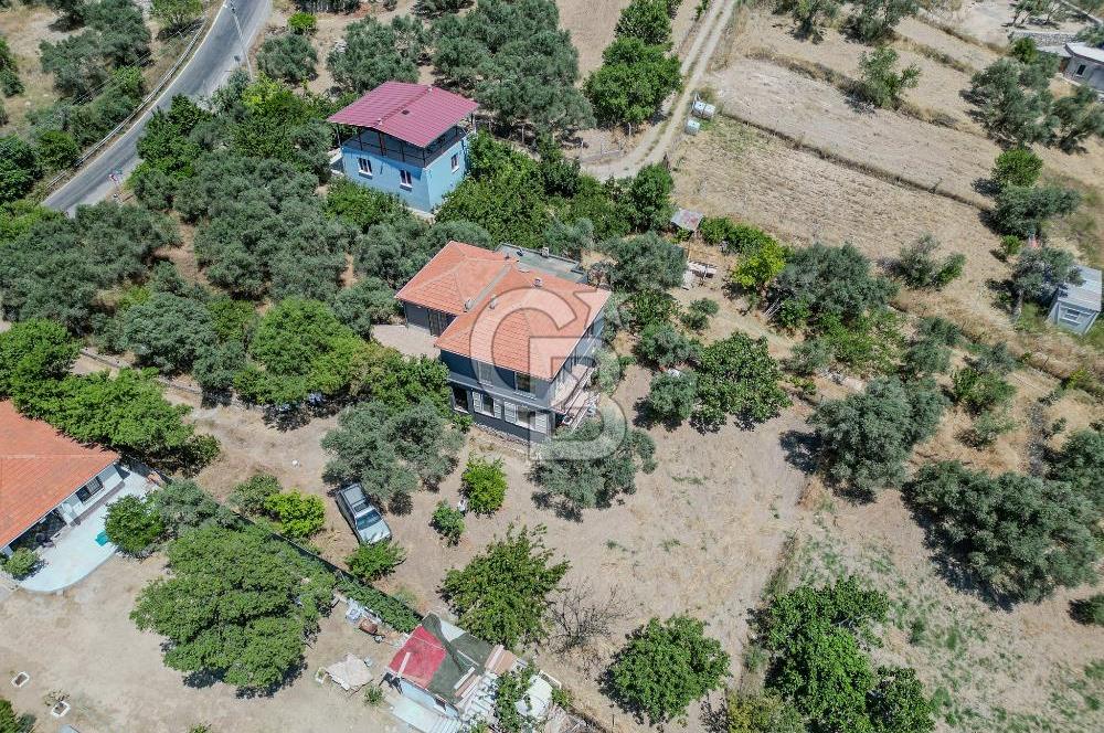 Buca Doğancılar'da Müstakil Villalı Zeytinlik