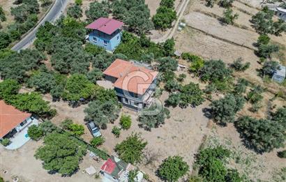 Buca Doğancılar'da Müstakil Villalı Zeytinlik