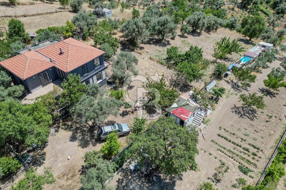 Buca Doğancılar'da Müstakil Villalı Zeytinlik