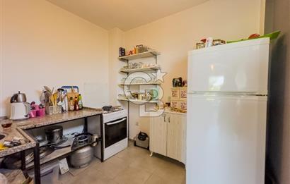 Buca Doğancılar'da Müstakil Villalı Zeytinlik