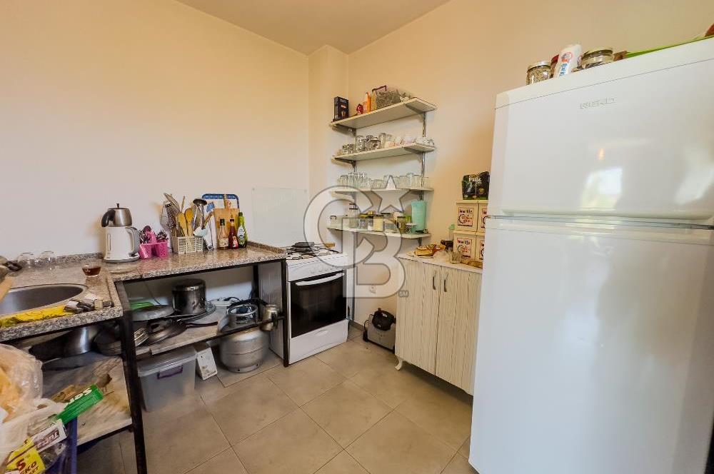 Buca Doğancılar'da Müstakil Villalı Zeytinlik