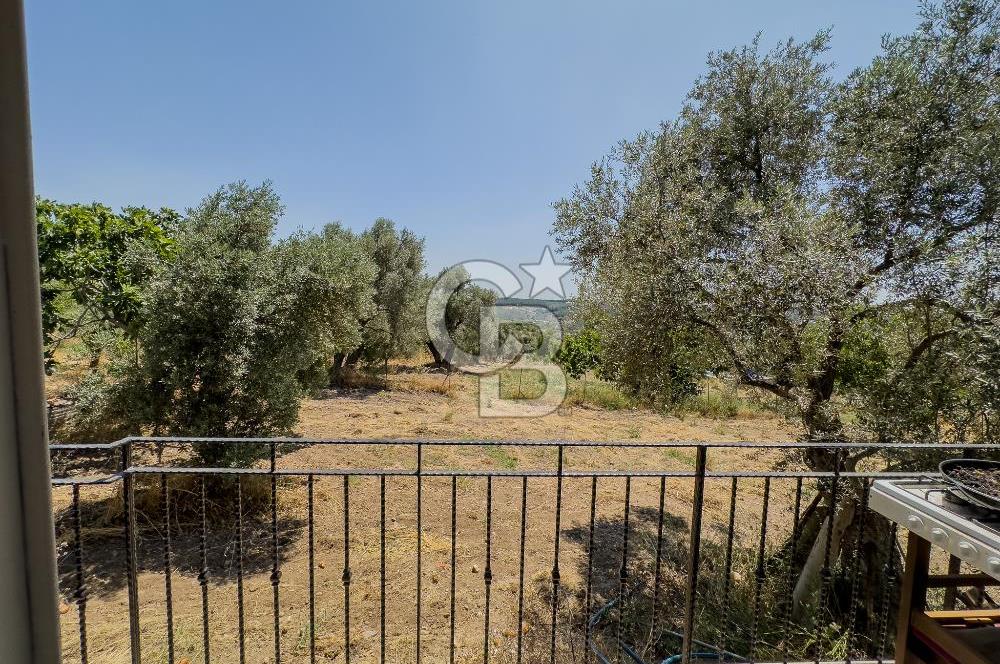 Buca Doğancılar'da Müstakil Villalı Zeytinlik