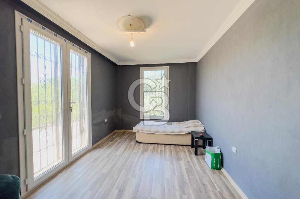 Buca Doğancılar'da Müstakil Villalı Zeytinlik