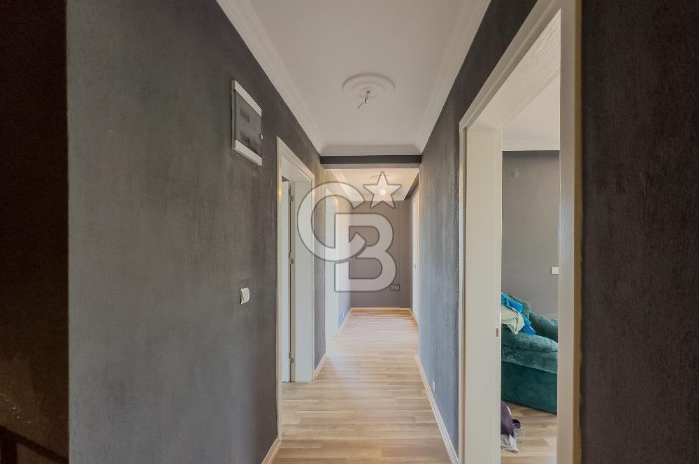 Buca Doğancılar'da Müstakil Villalı Zeytinlik