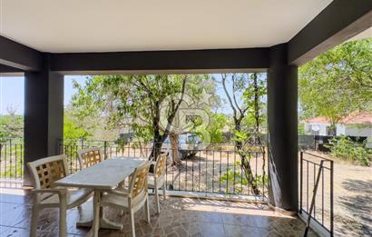 Buca Doğancılar'da Müstakil Villalı Zeytinlik