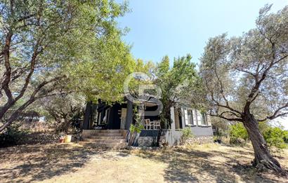 Buca Doğancılar'da Müstakil Villalı Zeytinlik