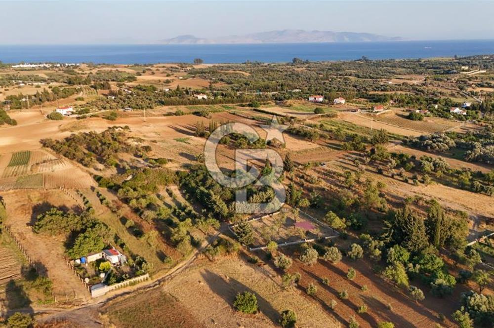 Datça Kızlan'da Satılık 1.500 m2 TARLA !!