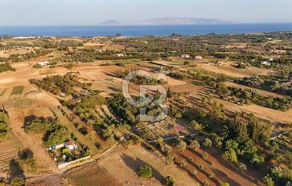 Datça Kızlan'da Satılık 1.500 m2 TARLA !!