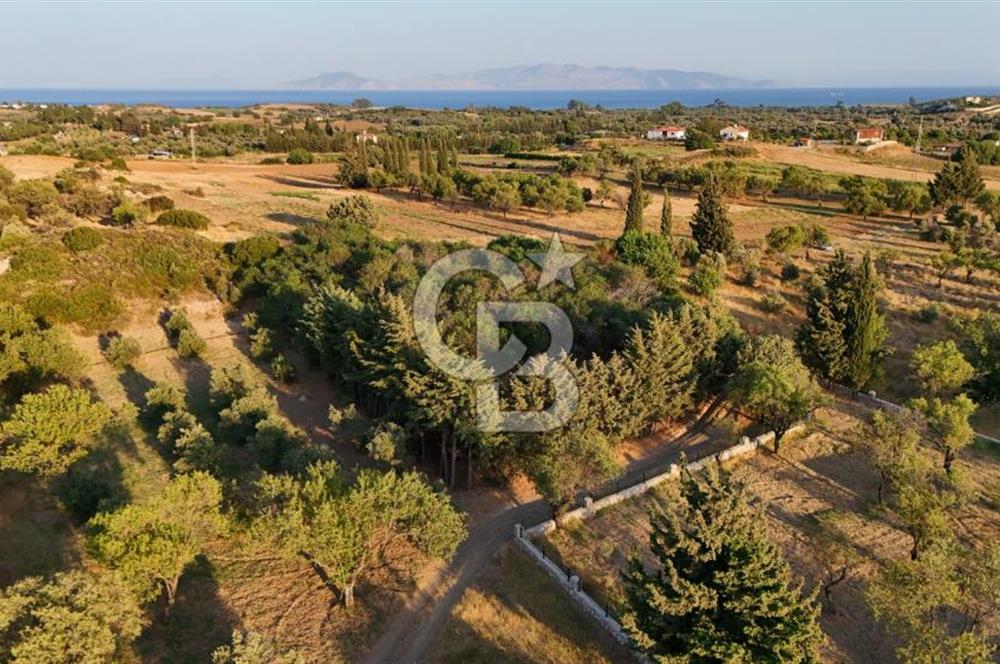 Datça Kızlan'da Satılık 1.500 m2 TARLA !!