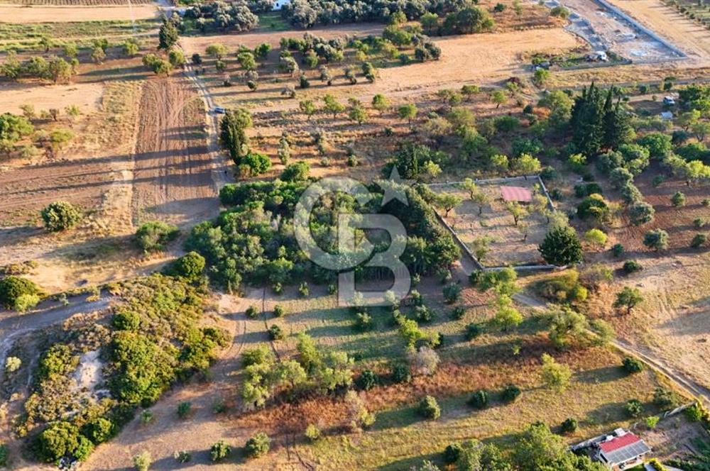 Datça Kızlan'da Satılık 1.500 m2 TARLA !!