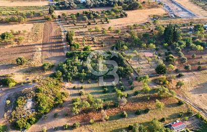 Datça Kızlan'da Satılık 1.500 m2 TARLA !!