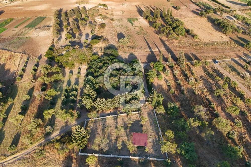 Datça Kızlan'da Satılık 1.500 m2 TARLA !!