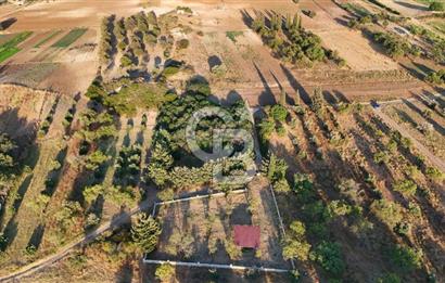 Datça Kızlan'da Satılık 1.500 m2 TARLA !!