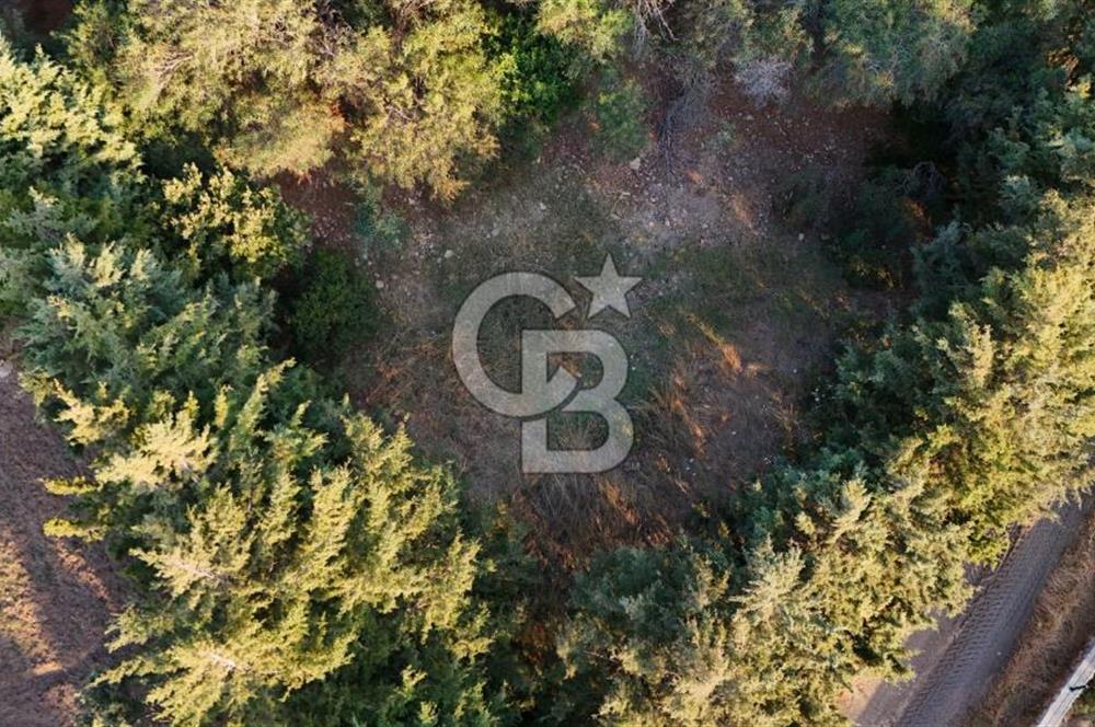 Datça Kızlan'da Satılık 1.500 m2 TARLA !!