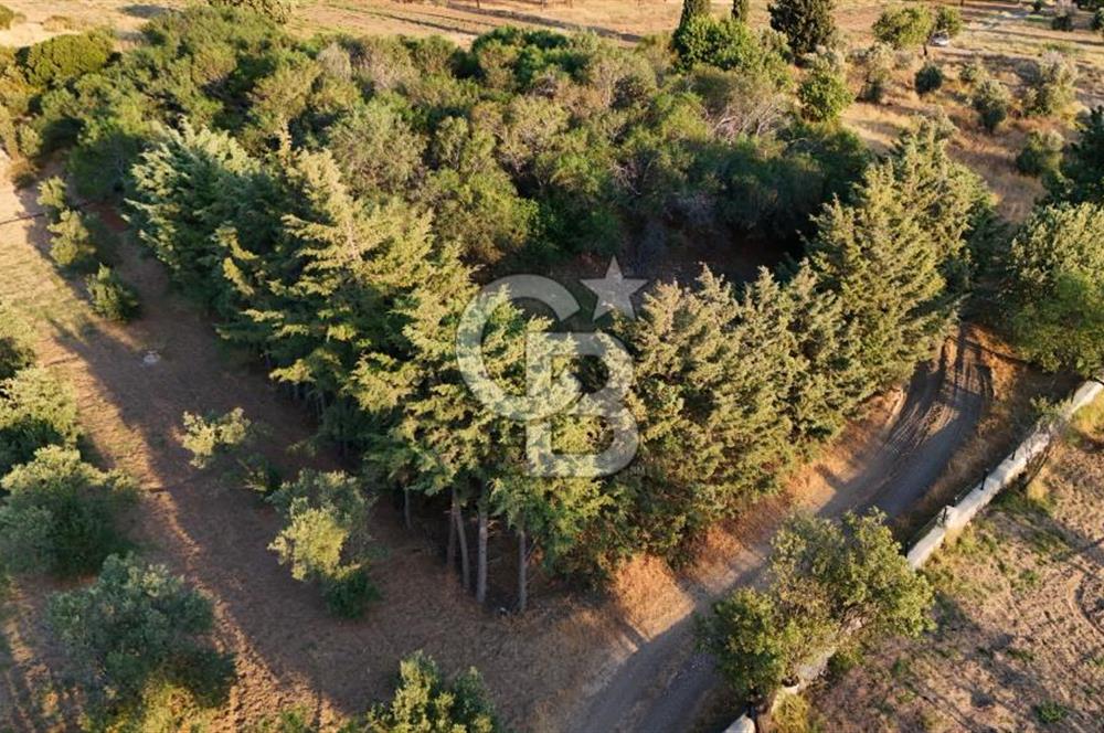 Datça Kızlan'da Satılık 1.500 m2 TARLA !!
