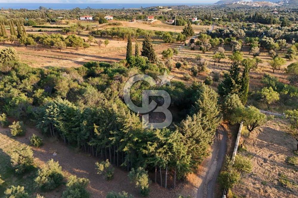 Datça Kızlan'da Satılık 1.500 m2 TARLA !!