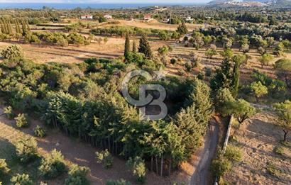 Datça Kızlan'da Satılık 1.500 m2 TARLA !!