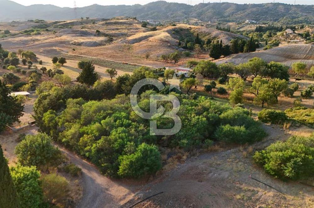 Datça Kızlan'da Satılık 1.500 m2 TARLA !!