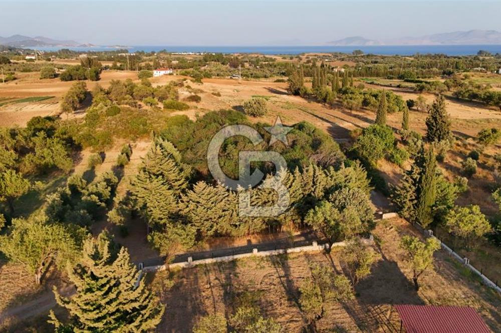 Datça Kızlan'da Satılık 1.500 m2 TARLA !!