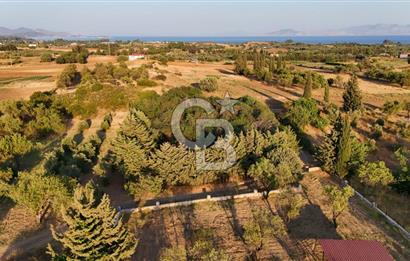 Datça Kızlan'da Satılık 1.500 m2 TARLA !!