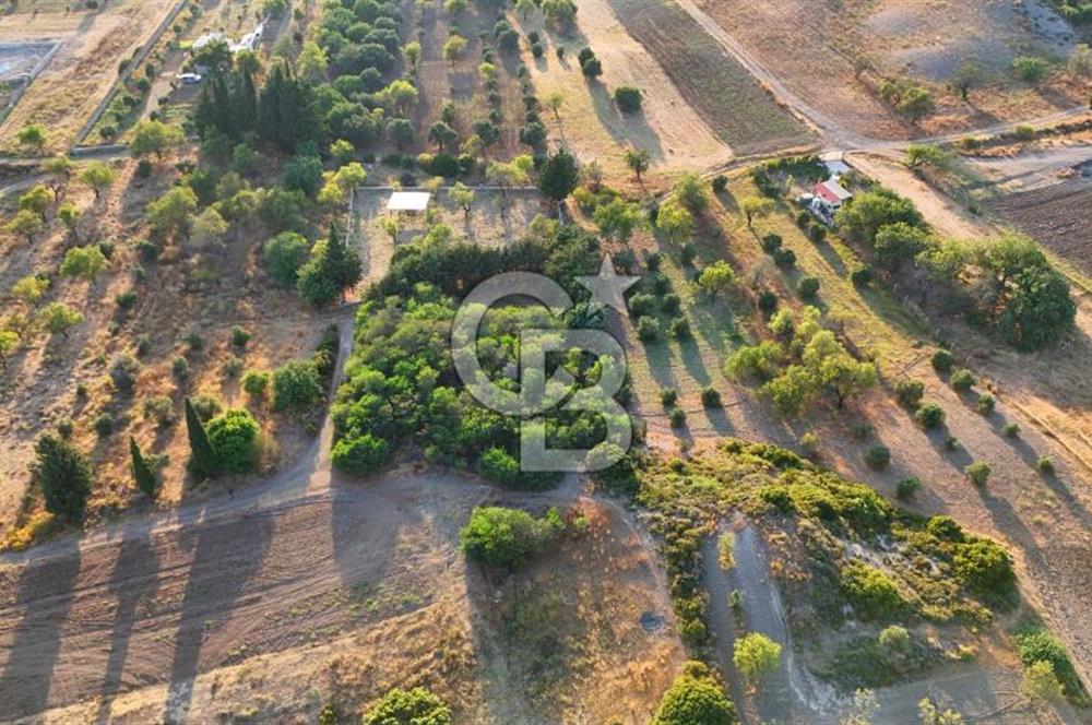 Datça Kızlan'da Satılık 1.500 m2 TARLA !!
