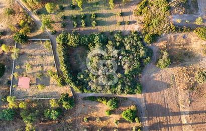 Datça Kızlan'da Satılık 1.500 m2 TARLA !!