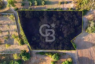 Datça Kızlan'da Satılık 1.500 m2 TARLA !!