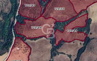 Lapseki Karamusalar Köyünde Yol Cepheli Satılık 265 Dönüm Arazi