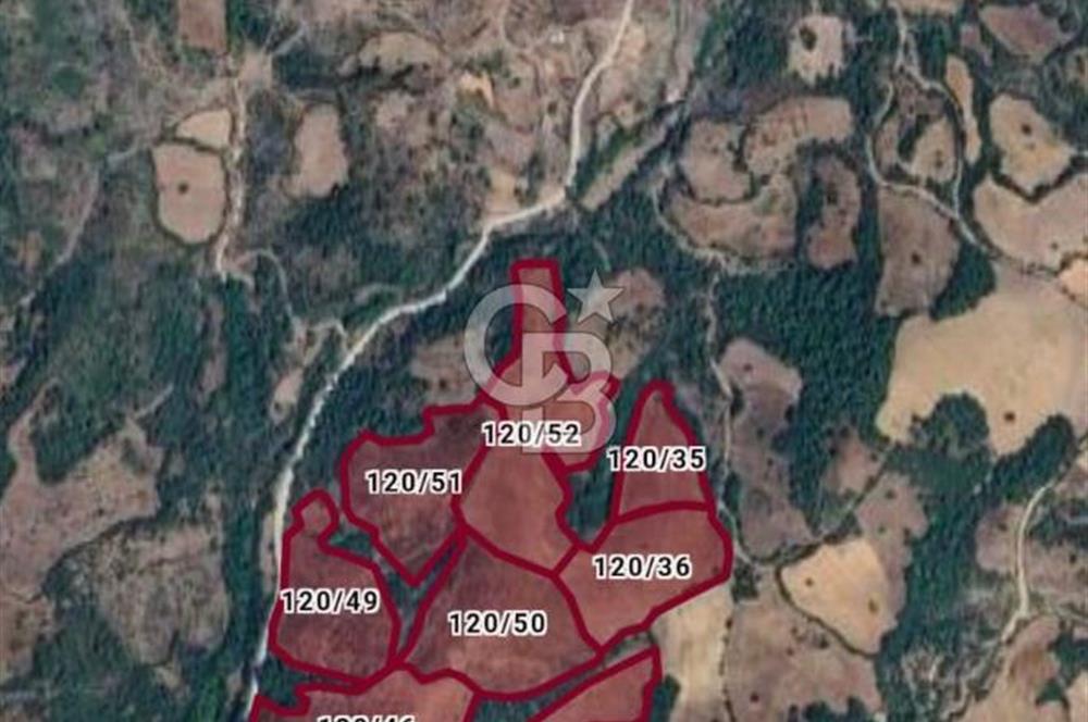 Lapseki Karamusalar Köyünde Yol Cepheli Satılık 265 Dönüm Arazi