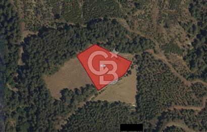 MUĞLA MENTEŞE'DE FIRSAT TARLA
