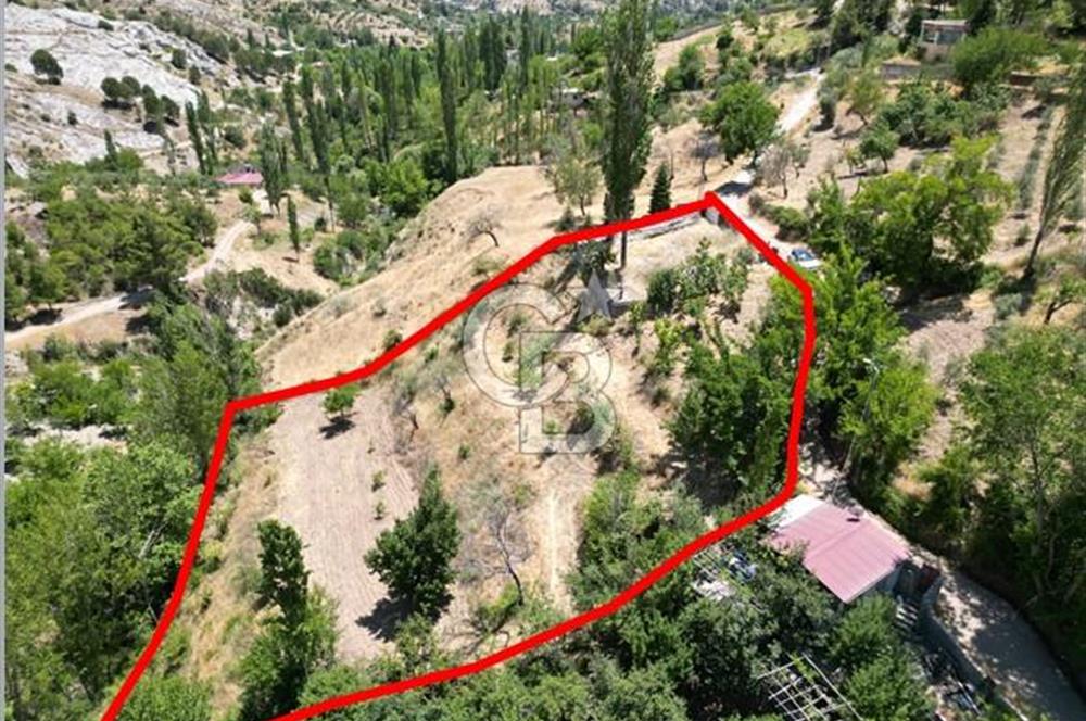 COLDWELL BANKER'DEN TEK TAPU 3079 m2 MANZARALI SATILIK BAHÇE