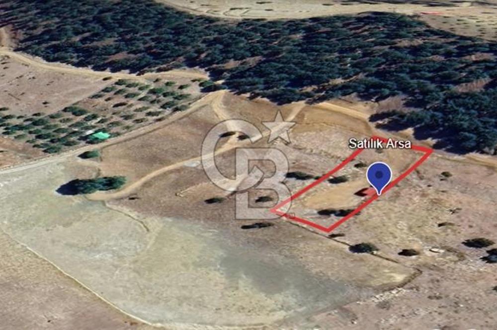 CB'DEN TEKİR'DE TEK TAPU 1730 m2 MANZARALI SATILIK ARSA