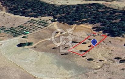 CB'DEN TEKİR'DE TEK TAPU 1730 m2 MANZARALI SATILIK ARSA
