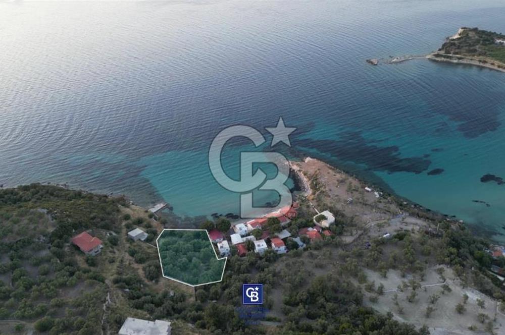 CB.ROUTE'TAN BADEMLİ ZİNDANCIK KOYUNDA DENİZE SIFIR EŞSİZ ARAZİ