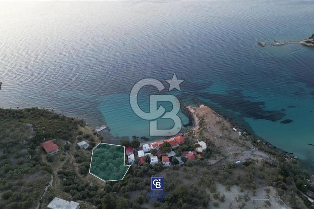 CB.ROUTE'TAN BADEMLİ ZİNDANCIK KOYUNDA DENİZE SIFIR EŞSİZ ARAZİ