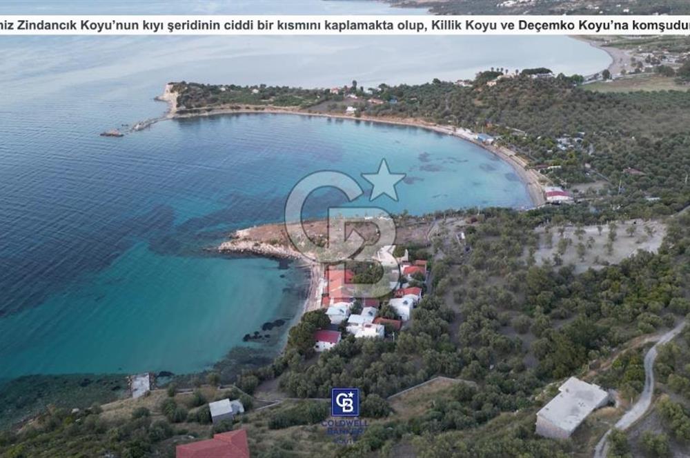 CB.ROUTE'TAN BADEMLİ ZİNDANCIK KOYUNDA DENİZE SIFIR EŞSİZ ARAZİ