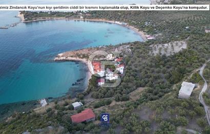 CB.ROUTE'TAN BADEMLİ ZİNDANCIK KOYUNDA DENİZE SIFIR EŞSİZ ARAZİ