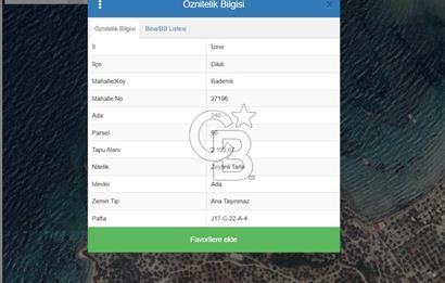 CB.ROUTE'TAN BADEMLİ ZİNDANCIK KOYUNDA DENİZE SIFIR EŞSİZ ARAZİ