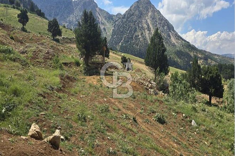 CB'DEN TEKİR'DE TEK TAPU 1730 m2 MANZARALI SATILIK ARSA