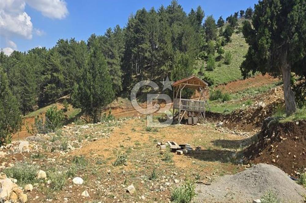 CB'DEN TEKİR'DE TEK TAPU 1730 m2 MANZARALI SATILIK ARSA
