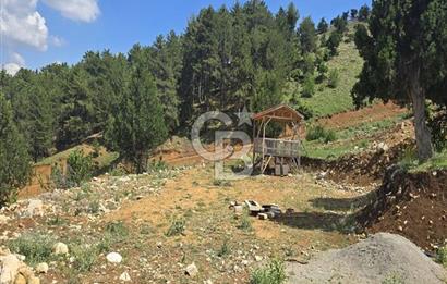 CB'DEN TEKİR'DE TEK TAPU 1730 m2 MANZARALI SATILIK ARSA